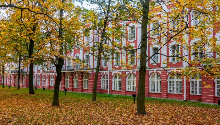 Saint-Petersburg State University
