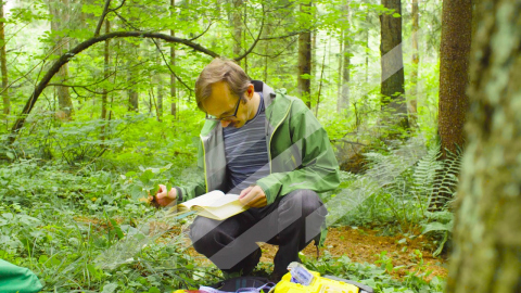 YT image