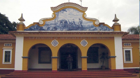 YT image